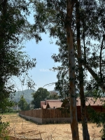 Galeri